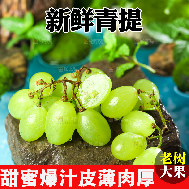 石板上放着澳洲无籽青提