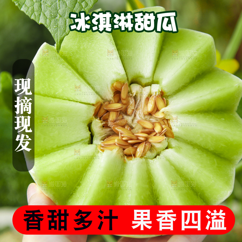 手里拿着新鲜玉菇香瓜