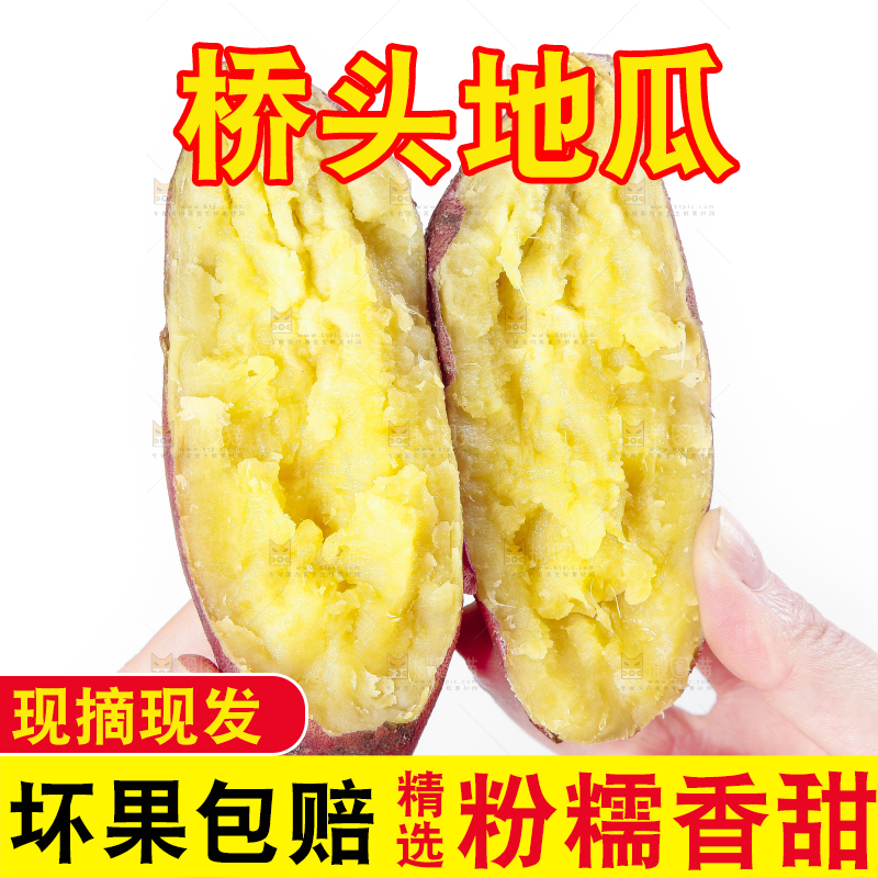 手里拿着黄心红薯