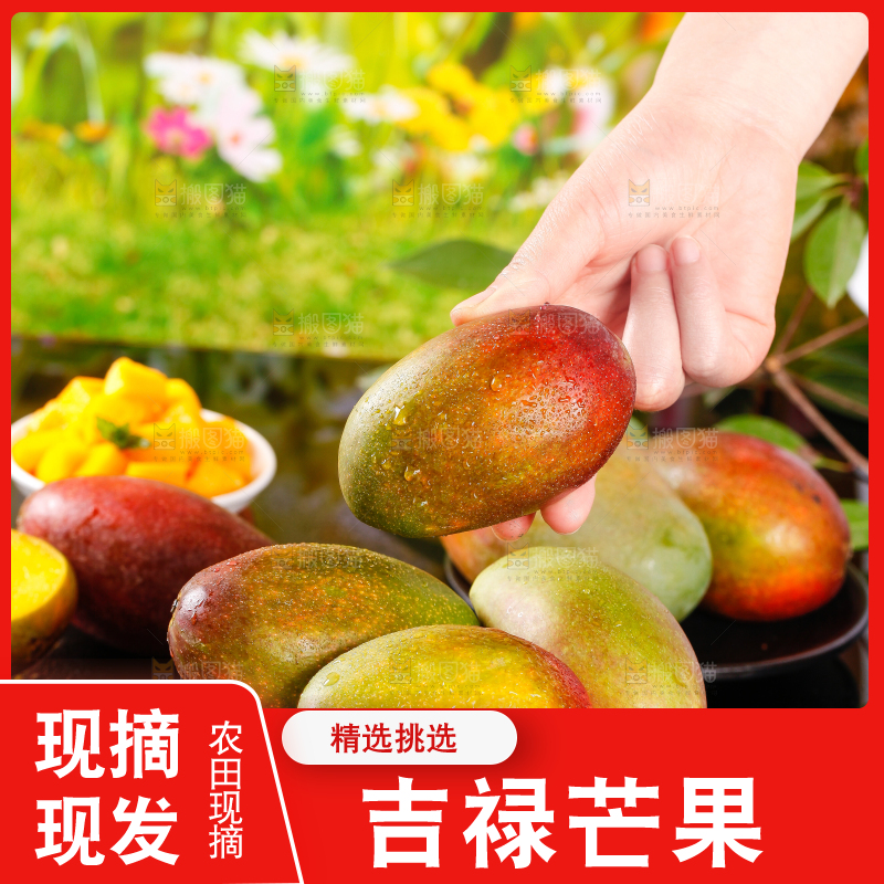 盘子里的爱文芒