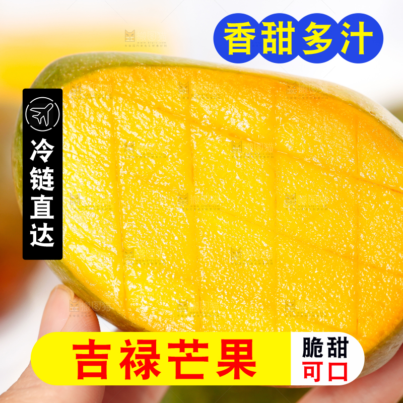 白底上放着吉禄芒