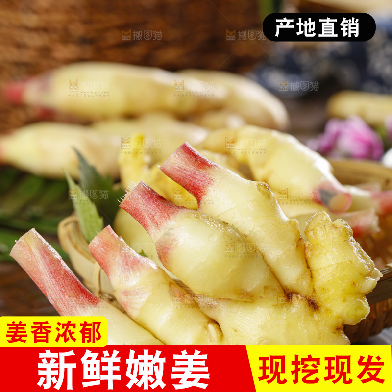 木板上的红芽嫩仔姜