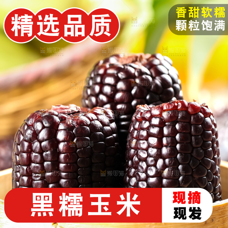 蒸笼里放着黑玉米