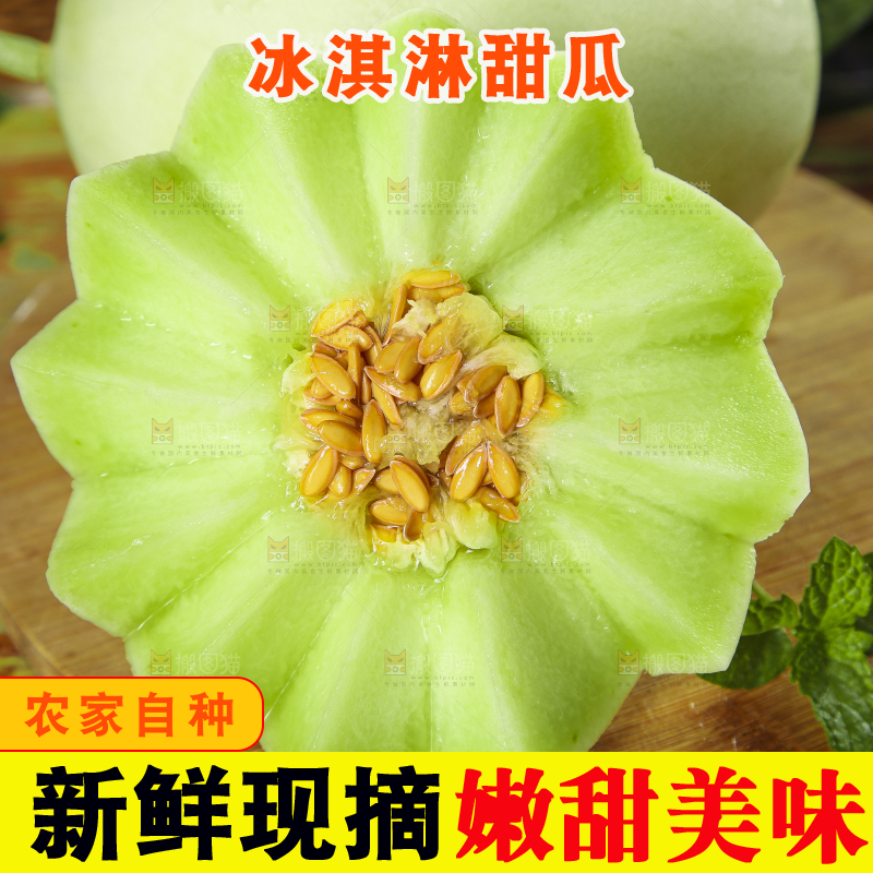 木底上摆放着南汇玉菇甜瓜