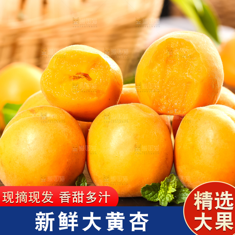 黑底上放着大黄杏