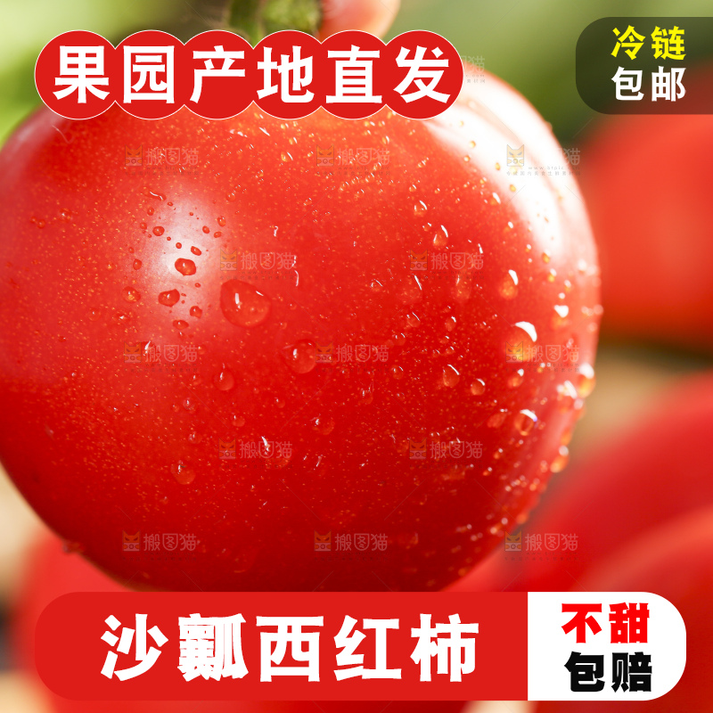 深底上放着新鲜西红柿