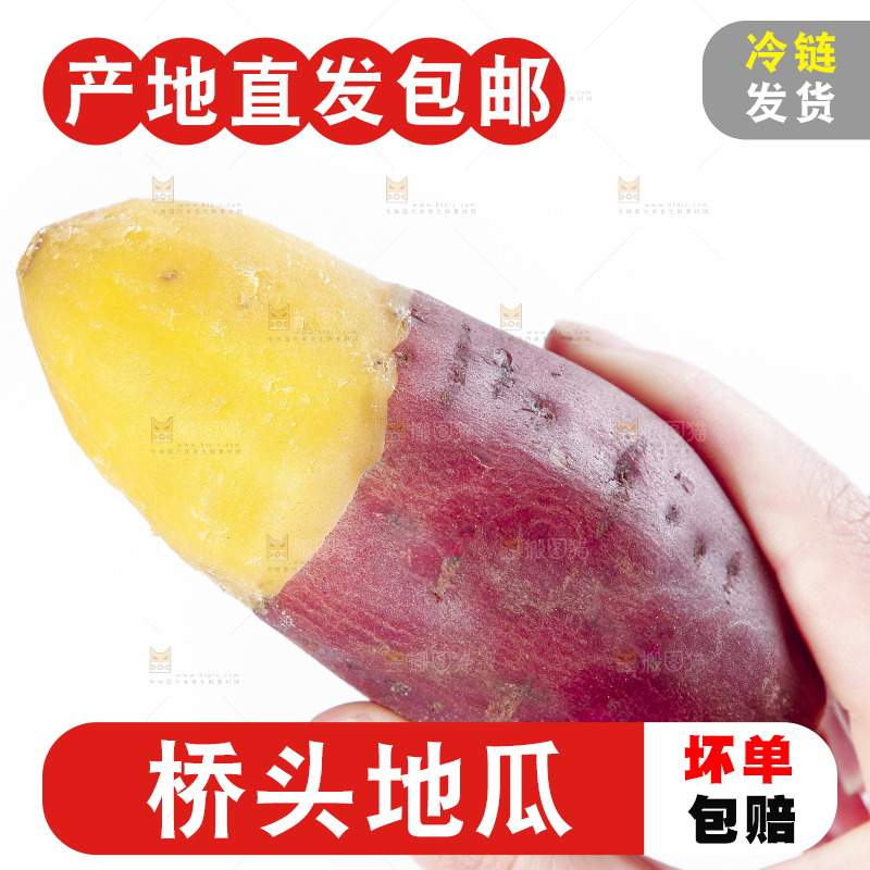 手里拿着黄心红薯