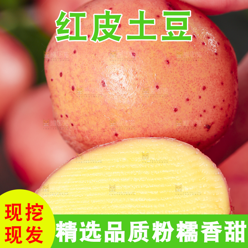 手里拿着红皮土豆