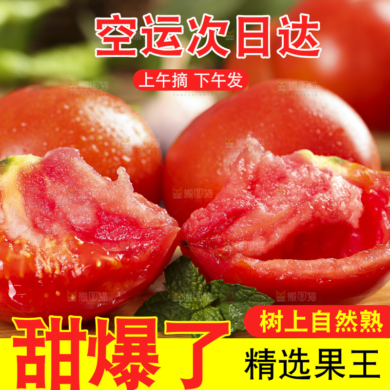 木板上的山东西红柿