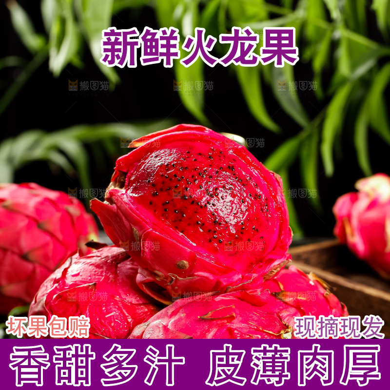 深底上的金都一号红心火龙果