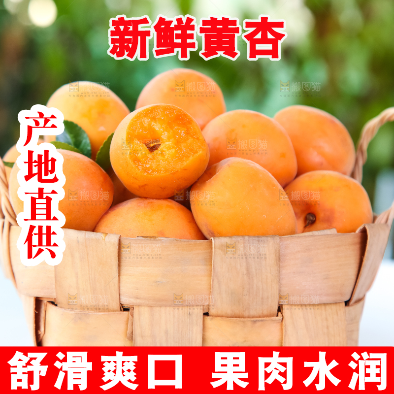 篮子里装着黄杏