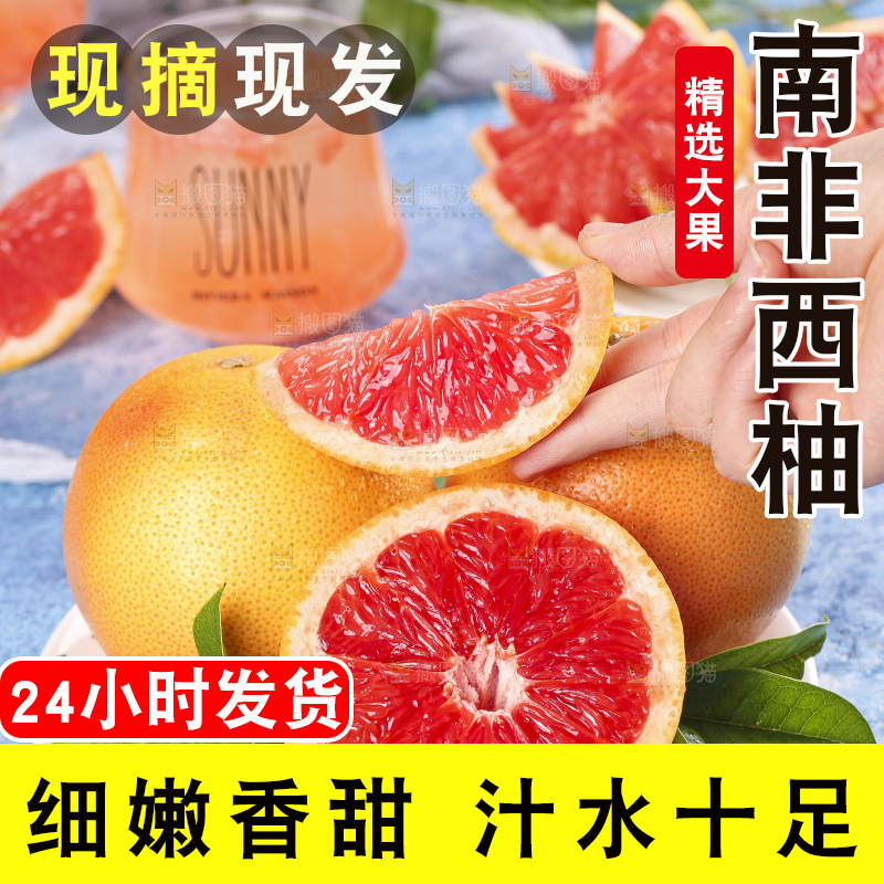 蓝底上的新鲜西柚