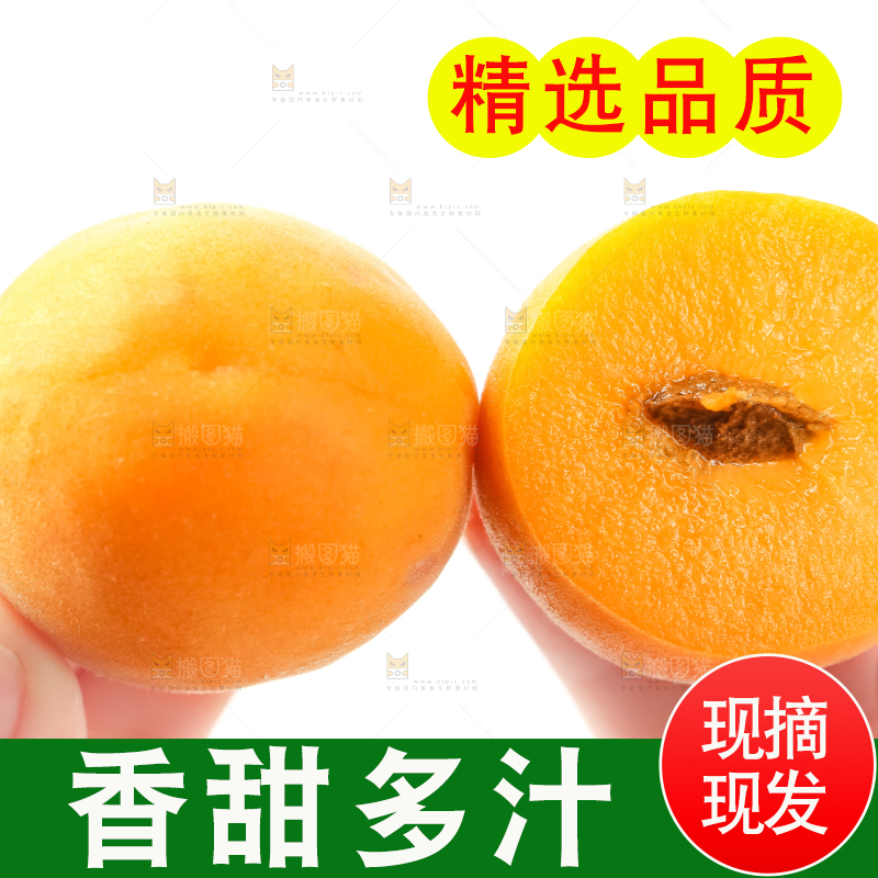 手里拿着大黄杏