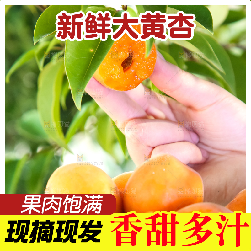 手里提着一篮杏子