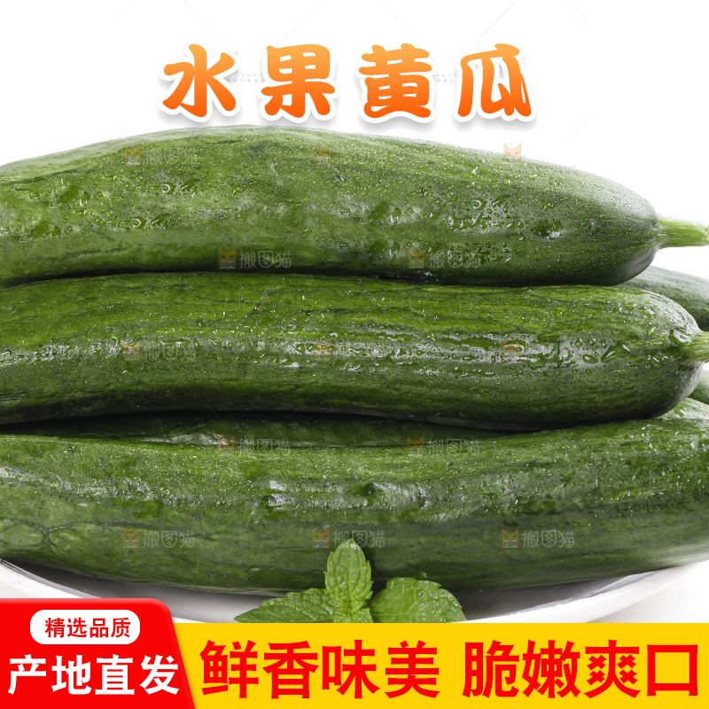 盘里装着新鲜黄瓜