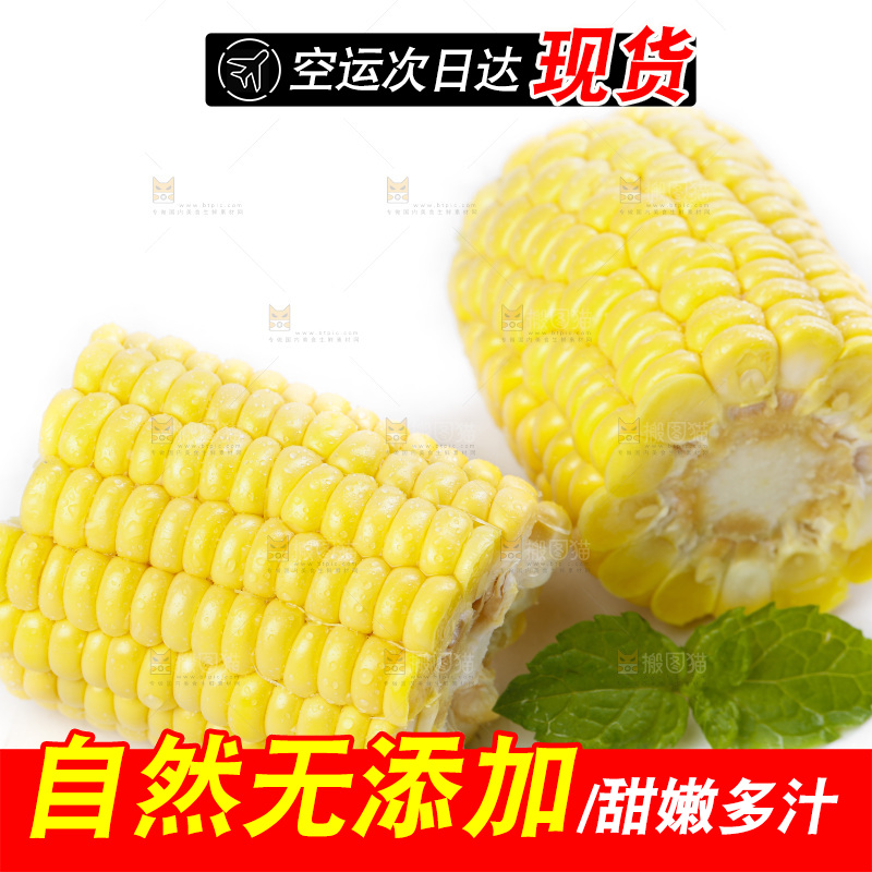 白底上放着新鲜玉米