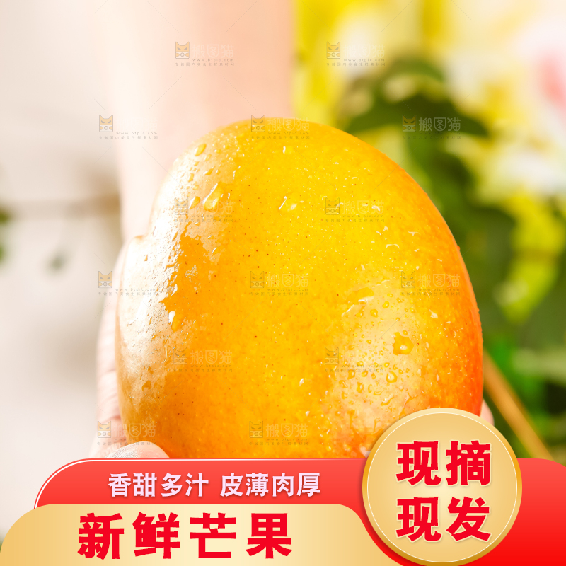 手里拿着吉禄芒果