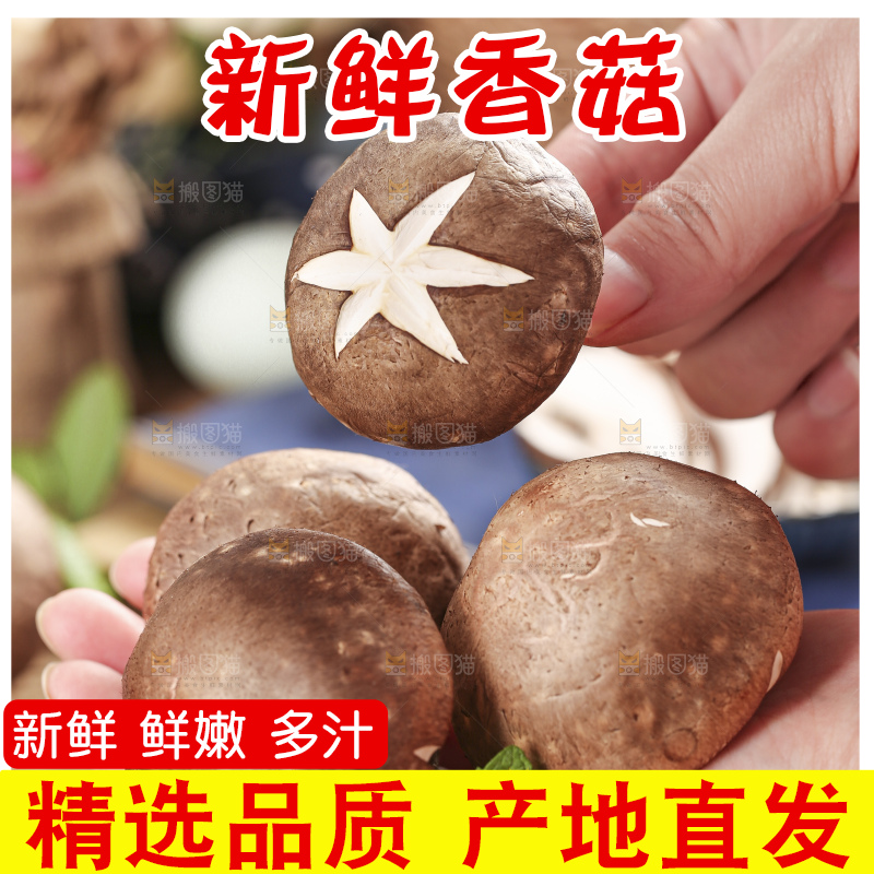 手里拿着菌菇