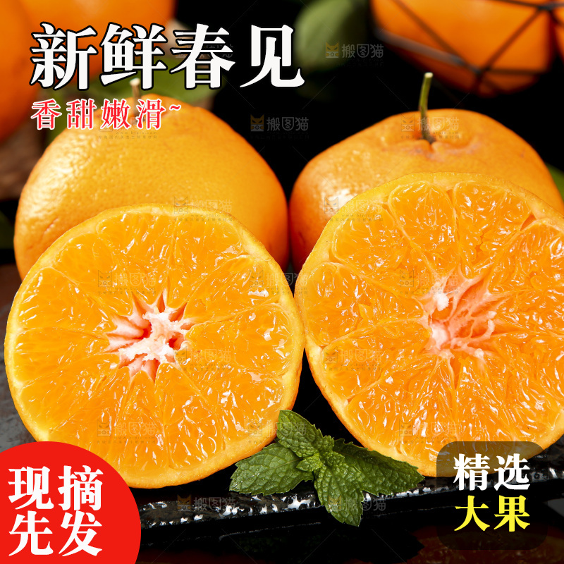 石板上摆放着四川春见耙耙柑