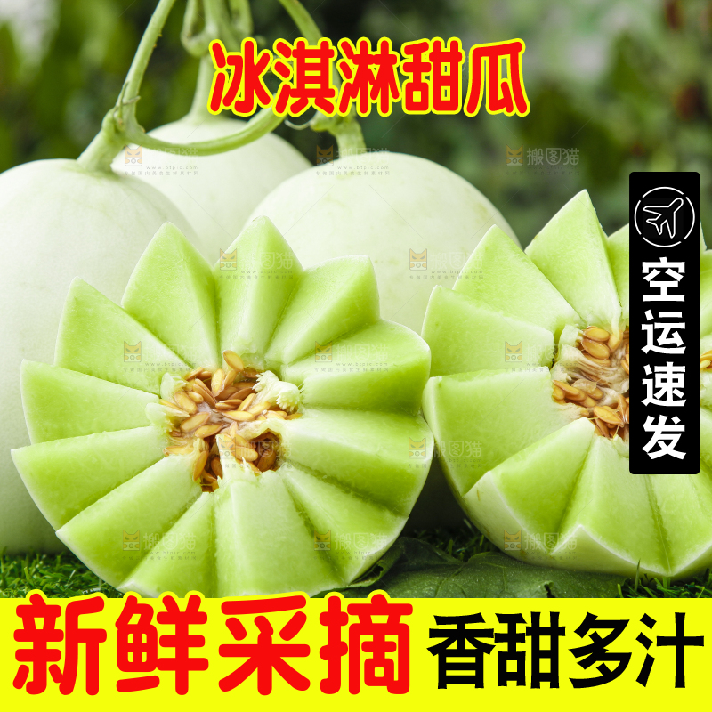 绿草地上摆放着玉菇甜瓜