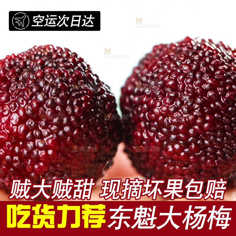 手里拿着杨梅