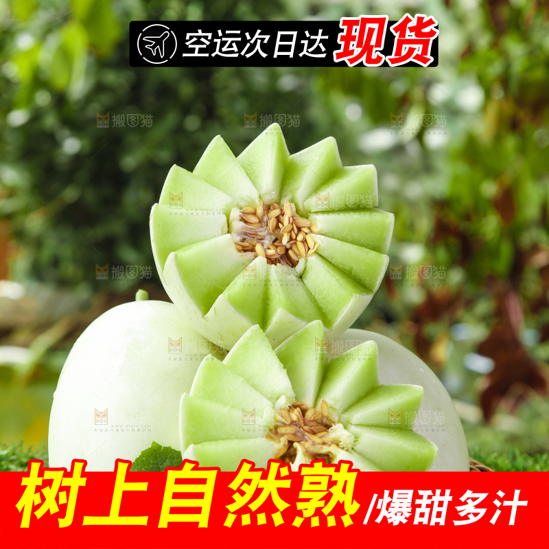 篮子里装着玉菇甜瓜