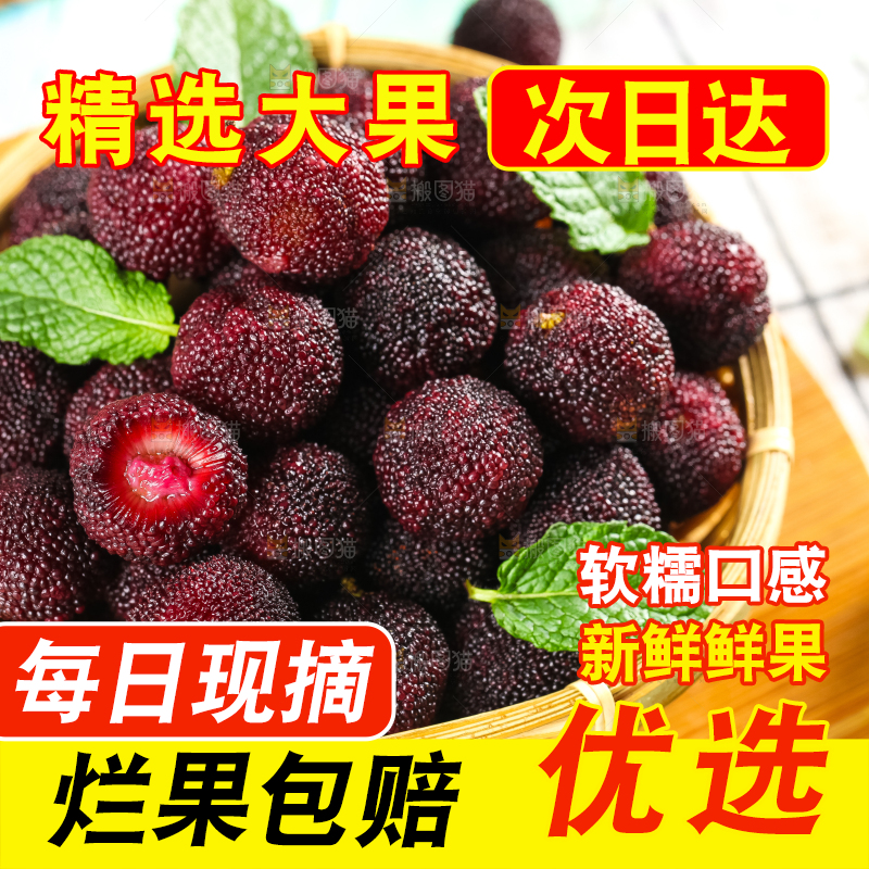 篮子里装着东魁杨梅