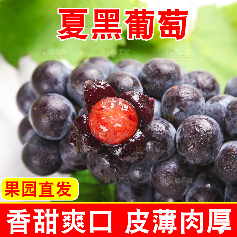 浅底上放着巨峰葡萄