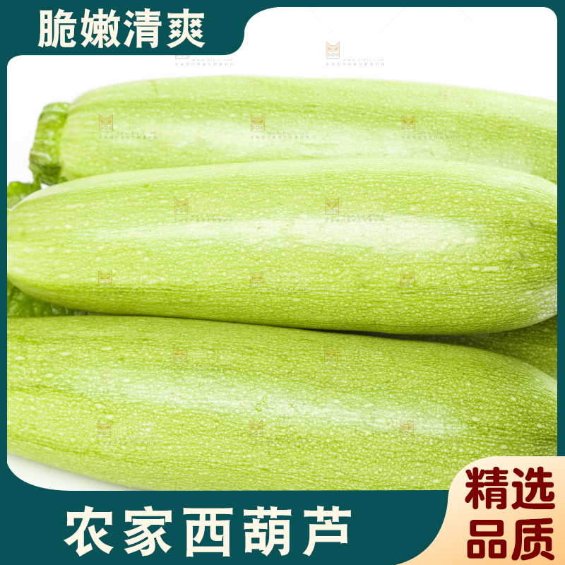 白底上摆放着西葫芦