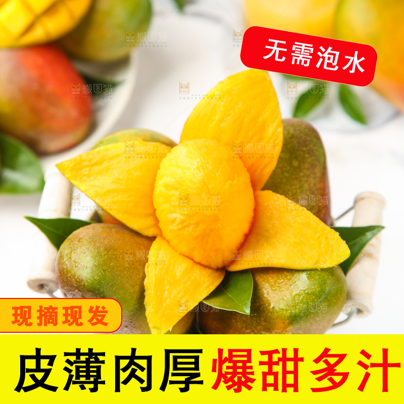 篮子里的爱文芒