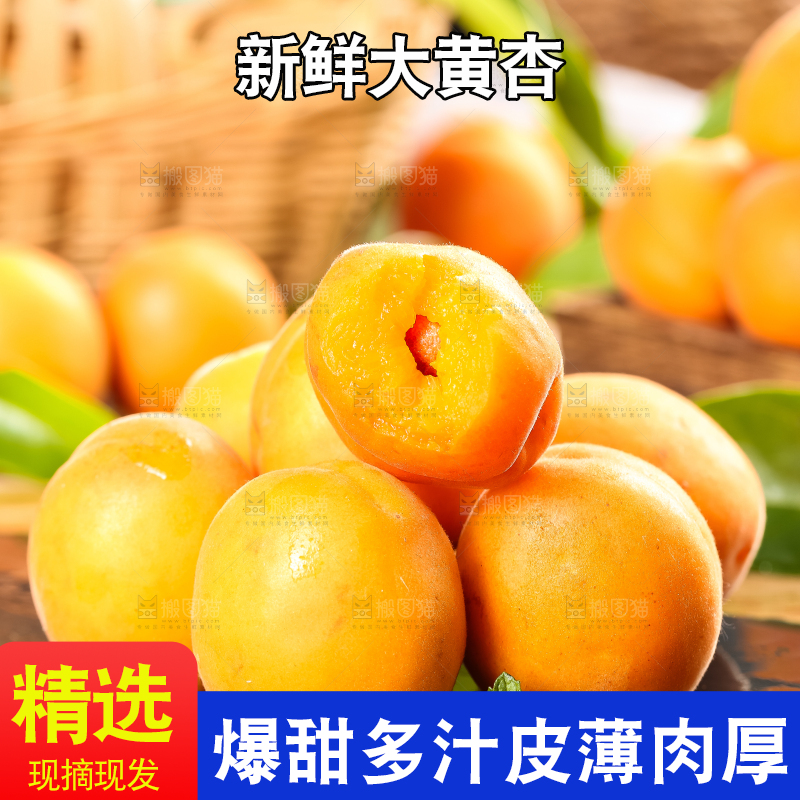 黑底上放着黄杏