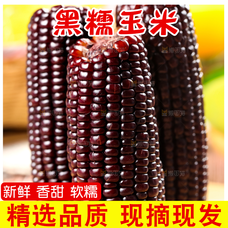 木底上放着黑玉米