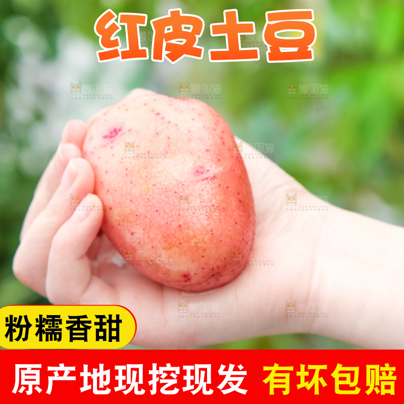 手里拿着土豆