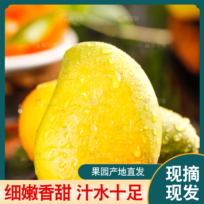 黑石板上的小台农芒果