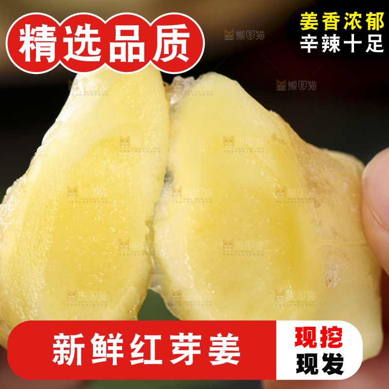 手里拿着红芽姜