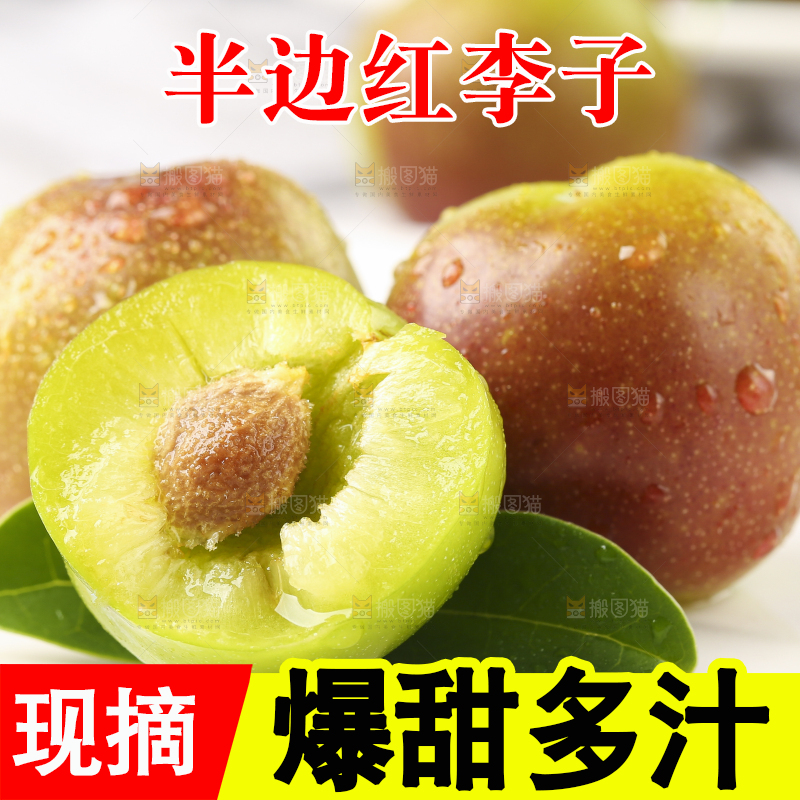 石板上摆放着四川茵红脱骨李