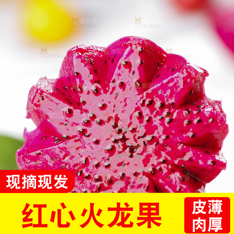 亮底上放着海南金都一号火龙果