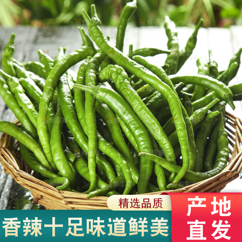 篮子里装着青线椒