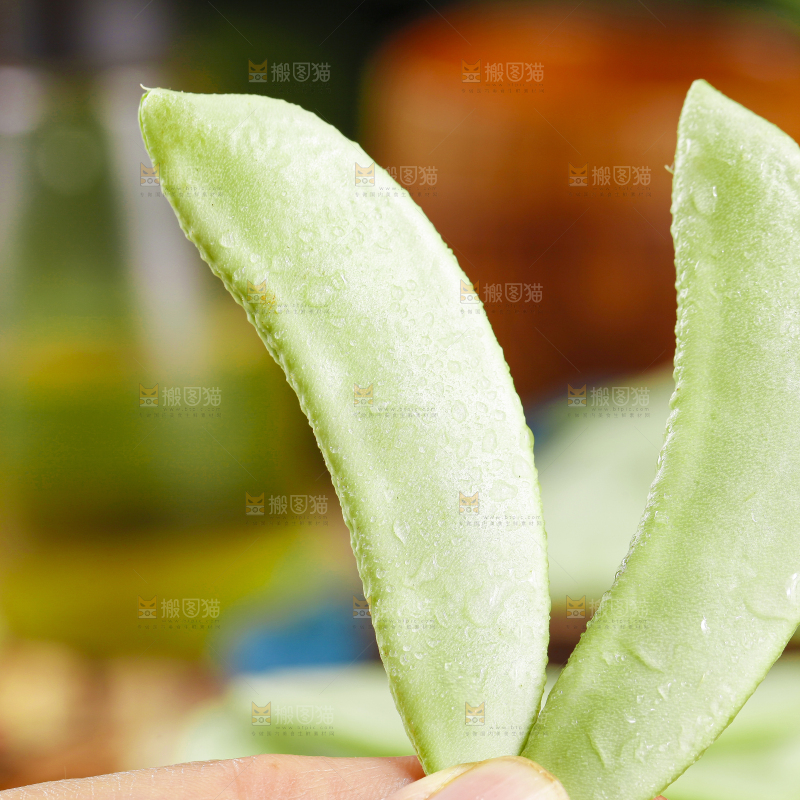手里拿着扁豆