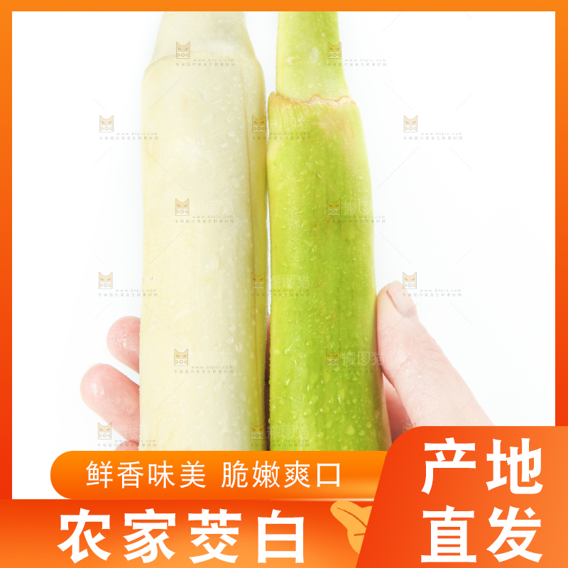 手里拿着茭白