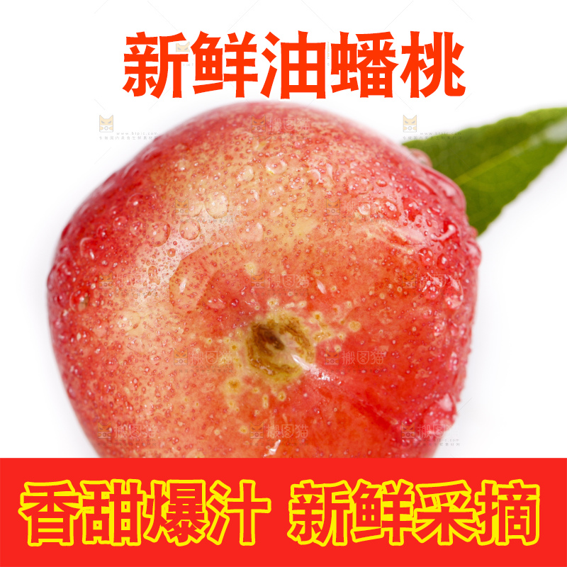 白底上的纽扣油蟠桃
