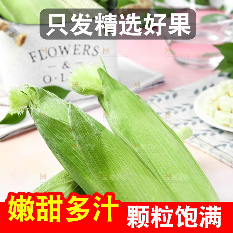浅底上的牛奶水果玉米