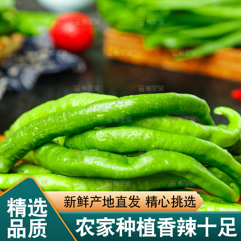 深底上摆放着青尖椒