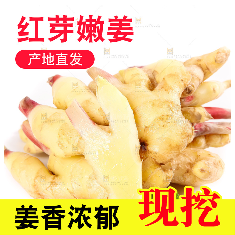 白底上的红芽姜