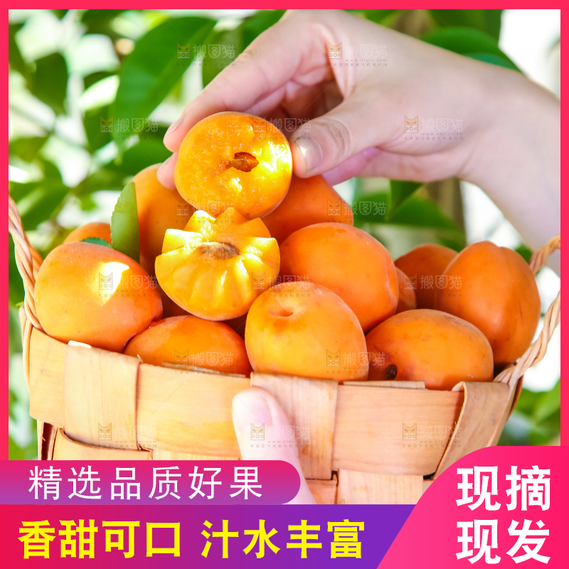 手里提着一篮杏子