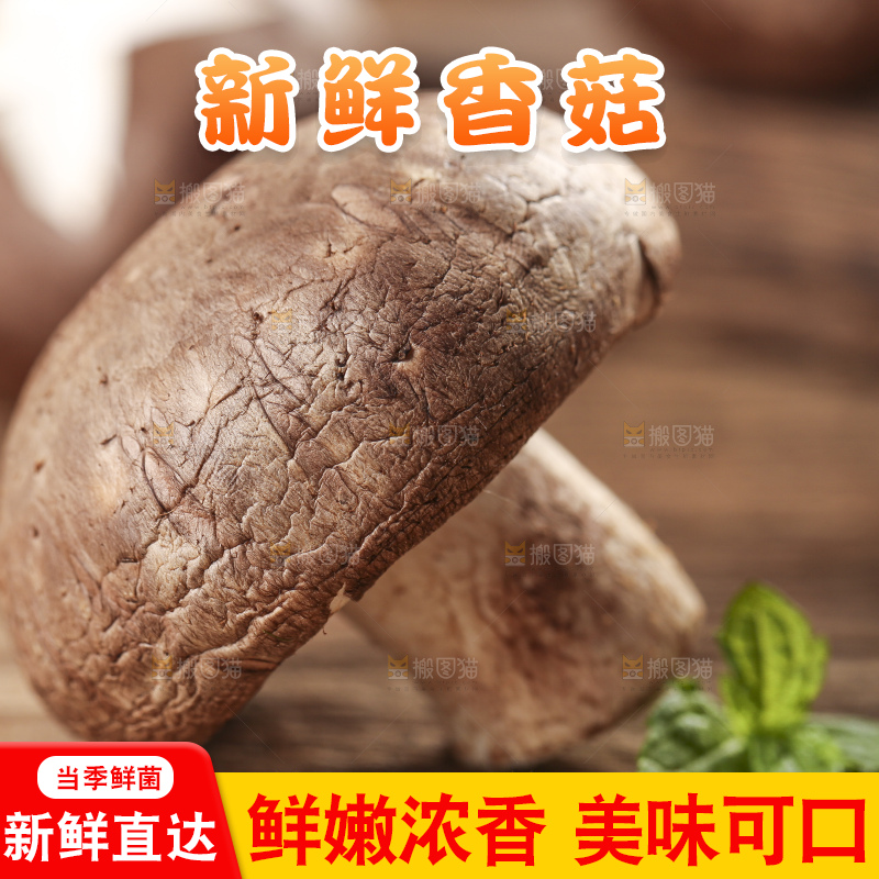 木底上摆放着湖北香菇