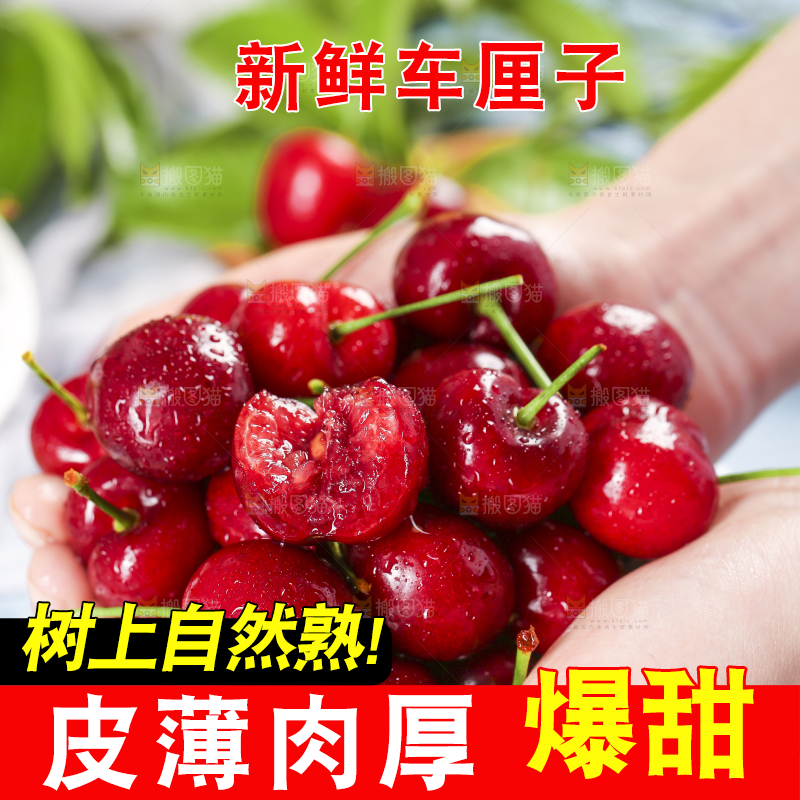 手里拿着大樱桃