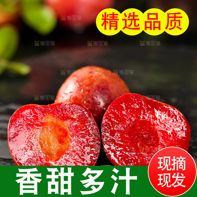 石板上放着钱排三华李