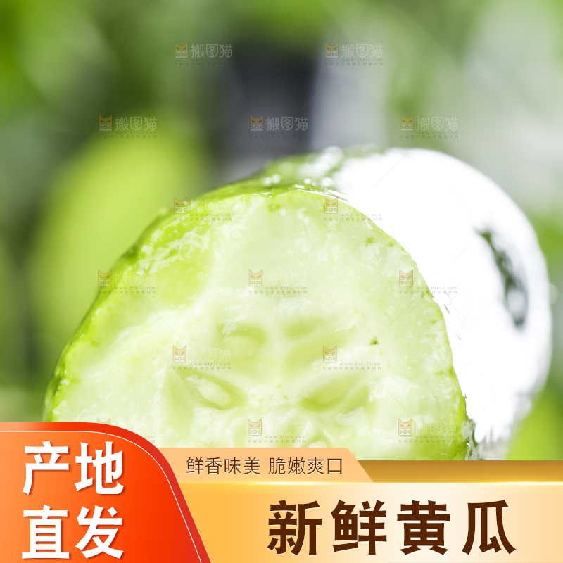 手里拿着青瓜