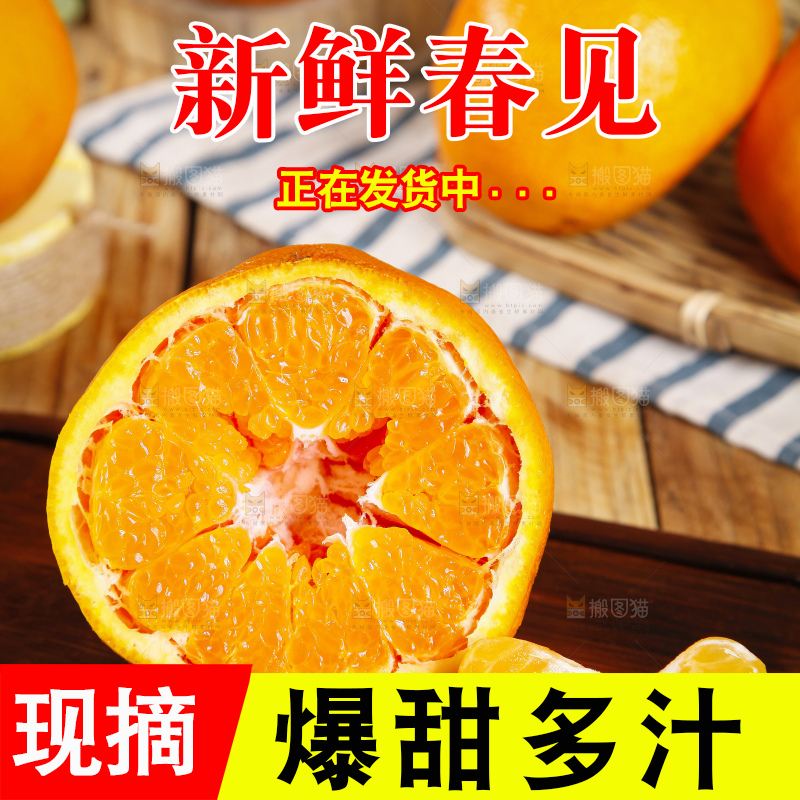 木板上的春见耙耙柑